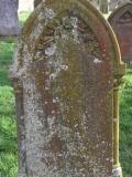 image of grave number 127050